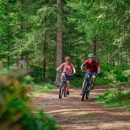 Gaestehaus Bichl 招待所 3*